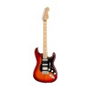 Fender Player Plus Top Stratocaster Electric Guitar, Pau Ferro FB, Tobacco Sunburst